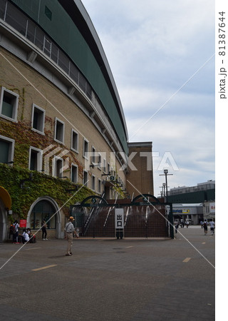 甲子園球場 甲子園球場 81387644