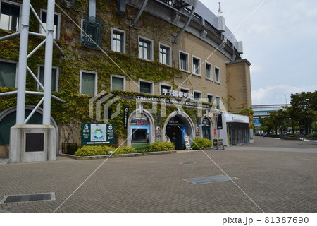 甲子園球場 81387690