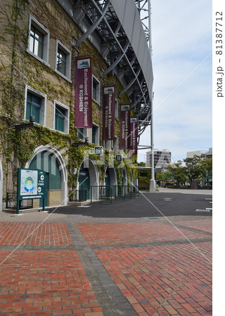 甲子園球場 81387712