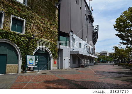 甲子園球場 81387719