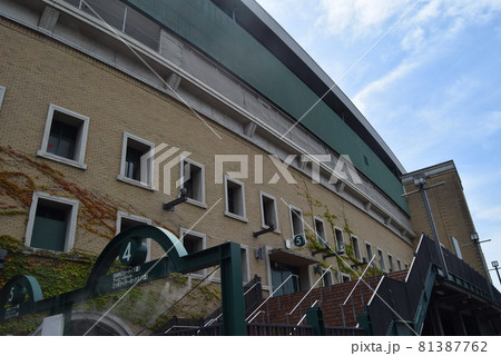 甲子園球場 81387762