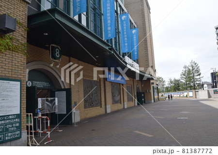 甲子園球場 81387772