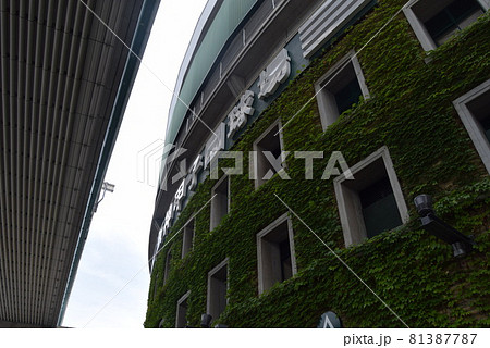 甲子園球場 甲子園球場 81387787