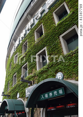 甲子園球場 甲子園球場 81387789
