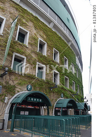 甲子園球場 81387805