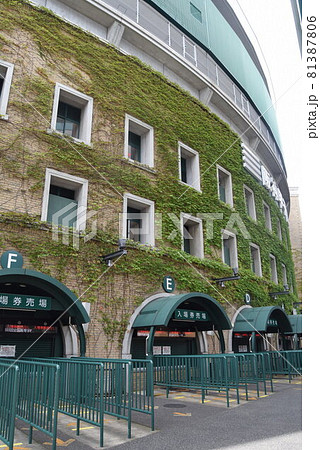 甲子園球場 81387806