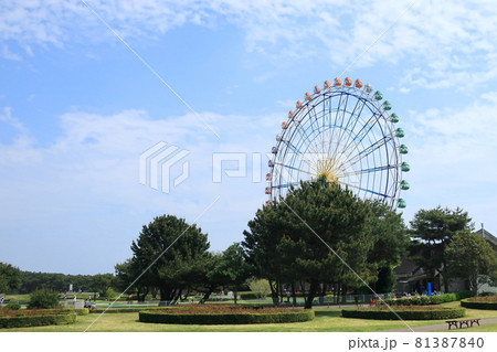 ネモフィラの丘と公園の風景 81387840