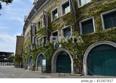 甲子園球場 甲子園球場 81387937