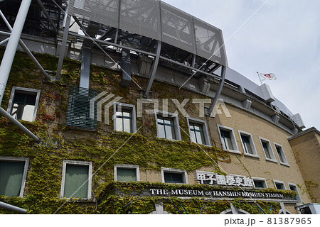 甲子園球場 甲子園球場 81387965