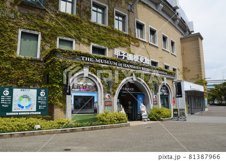甲子園球場 81387966