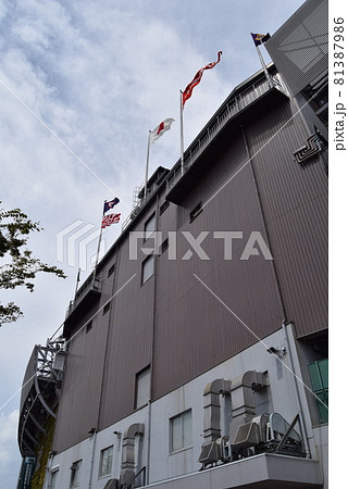 甲子園球場 81387986