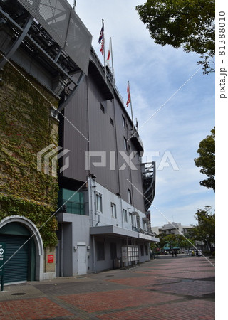 甲子園球場 81388010