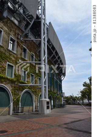 甲子園球場 81388083