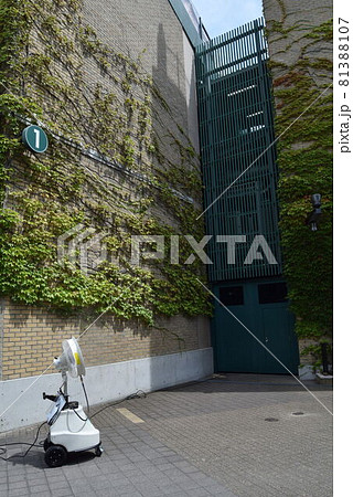 甲子園球場 81388107