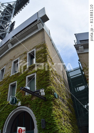 甲子園球場 甲子園球場 81388110