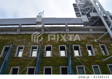 甲子園球場 81388113