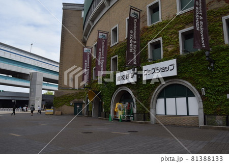 甲子園球場 81388133