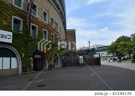 甲子園球場 甲子園球場 81388136