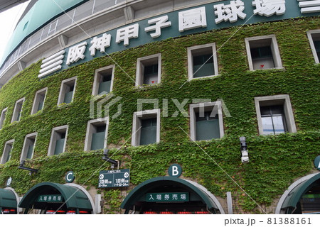 甲子園球場 甲子園球場 81388161