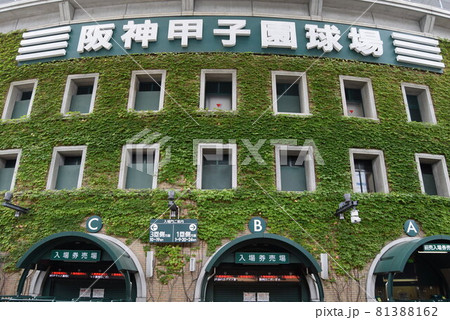 甲子園球場 甲子園球場 81388162