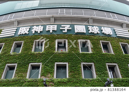 甲子園球場 81388164