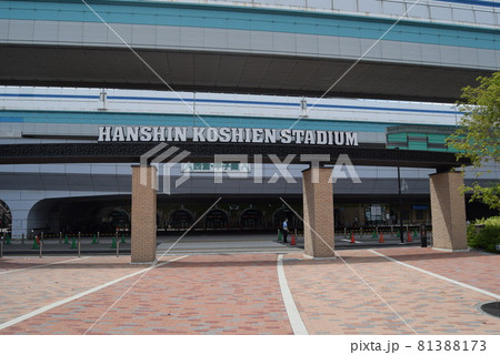 甲子園球場 81388173