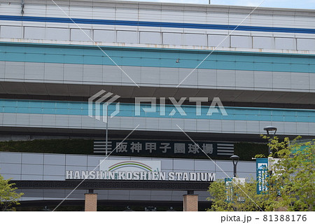 甲子園球場 81388176