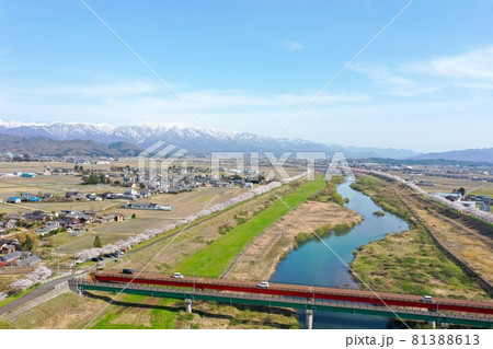 加治川の桜 空撮 加治川の桜 空撮 81388613