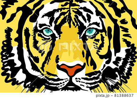 正面を向いている虎の顔のアップのカラーイラスト 葉書サイズ のイラスト素材