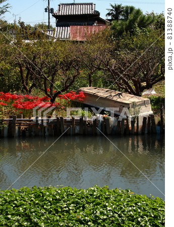 水郷柳川水路古里の原風景 81388740