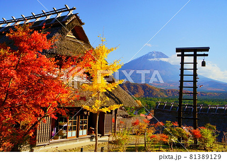 西湖いやしの里根場 紅葉と茅葺き屋根と半鐘越しに望む初冠雪富士 西湖いやしの里根場 紅葉と茅葺き屋根と半鐘越しに望む初冠雪富士 81389129