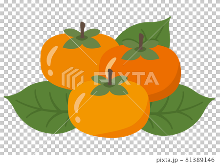 フルーツイラスト★柿 フルーツイラスト★柿 81389146