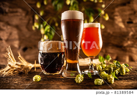 Three glasses with draft beer in front of a wooden barrel. Decoration of barley ears and fresh hops Three glasses with draft beer in front of a wooden barrel. Decoration of barley ears and fresh hops 81389584