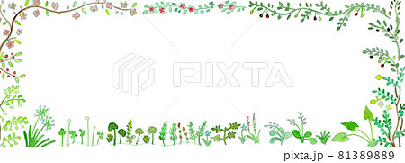 庭の草花と樹木の水彩イラストフレーム横長 81389889