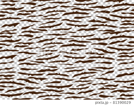 虎柄イメージ 81390029