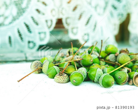 A lot of green acorns on the country house window seat with space for your text. A lot of green acorns on the country house window seat with space for your text. 81390193