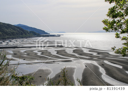 御輿来海岸 御輿来海岸 81391439