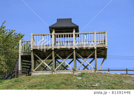 御輿来海岸 81391446