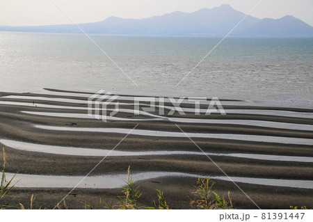 御輿来海岸 御輿来海岸 81391447