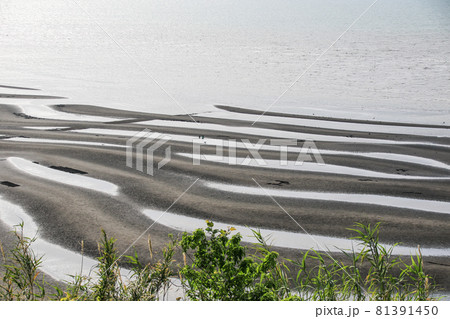 御輿来海岸 81391450