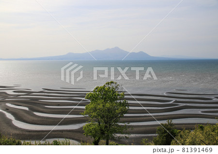 御輿来海岸 81391469