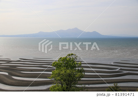 御輿来海岸 81391471