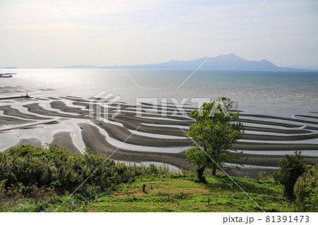 御輿来海岸 御輿来海岸 81391473