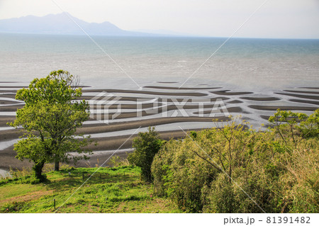 御輿来海岸 81391482