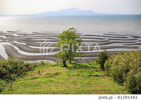 御輿来海岸 御輿来海岸 81391483