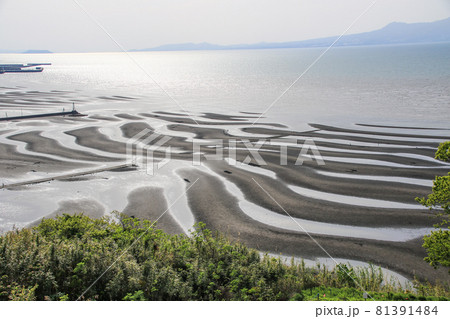 御輿来海岸 81391484