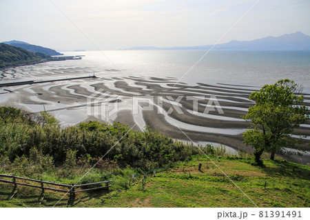 御輿来海岸 御輿来海岸 81391491