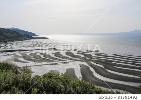 御輿来海岸 御輿来海岸 81391492