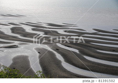 御輿来海岸 81391502