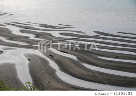 御輿来海岸 81391503